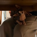 하약국 | 스펙타클😭