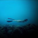 삼원스포츠센터 이미지