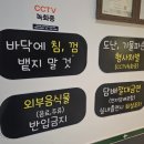 와락 코인 노래연습장 이미지