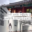 성인 서예교실 | 파주 아이랑 가볼만한 곳 | 율곡이이 자운서원 |1,000원에 끝내는 가성비 쩌는 산책 + 역사놀이 코스
