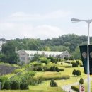 메디로직스 이미지