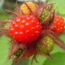 마음다짐 이미지