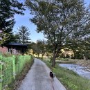 경상남도 산촌유학교육원 이미지