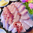 반포대로22길 86 (1) | 교대역맛집 교대 횟집 술집 방어가 눈물 나게 맛있는 선도