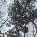 광덕산3로 이미지