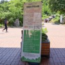 여주 여행 가볼만한곳 황학산 수목원 여름 피크닉