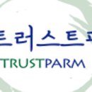 금오온누리약국 이미지