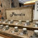 마벨리에 이미지