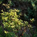 UR(의정부시)-[민락로]-상-91 | 12년간의 긴 장기 연애를 끝마치고 결혼한 우리는 신혼일까?