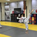 설송태권도장 이미지