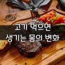 고기 먹으면 생기는 몸의 변화 이미지