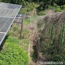 무성햇빛발전소 이미지