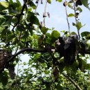 농업기술센터앞 이미지