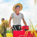 천풍농장 이미지