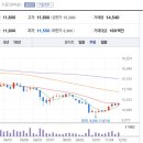 (주)넬바이오텍 티스토리