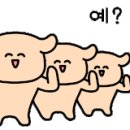 <G-STAGE Vol.5> 지소쿠리클럽 콘서트 이미지