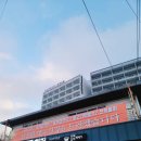 해궁횟집 | 완도여객선터미널 바로 앞집! 해궁횟집(저녁에도 가고 아침에 다시 가고팠던)