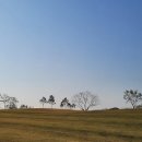 솔라시도 컨트리클럽 이미지