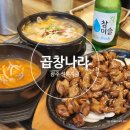곱창나라 | 광주곱창 솔직 후기 - 선운지구 곱창나라에서 곱창구이랑 모듬국밥 한 그릇
