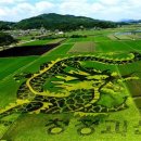 흑룡의원 이미지