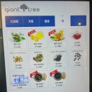 천상의 나무 | 대구 중구 동인동카페 천상의 맛 카이막 맛볼 수 있는 자이언트트리 솔직후기