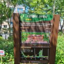 퀸스로드 의류패션 명물거리 이미지