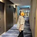 경포동해횟집 | 🌊 스카이베이 경포동해횟집 포장 후기💙 바다뷰 호텔에서 먹는 회 한상