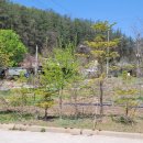 죽전현대공인중개사사무소 이미지