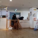 까페 개정촌 이미지