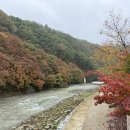 철암초등학교 | 2025 철암단풍축제 - 태백단풍명소 철암탄광역사촌 가을여행 후기