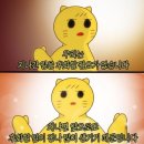 일일시호일 | 넷플릭스 일본힐링영화 &#39;일일시호일&#39; 영화후기