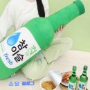 핵인싸 아이템 참이슬 후레쉬 소주병 롱 바디필로우 이색 쿠션 후기