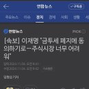 속보: 이재명 대표 금투세 폐지 동의 이미지