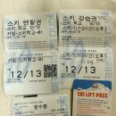 비발디파크 스키월드 | 아이와 홍천 비발디파크 스키 여행 후기 ⛷️