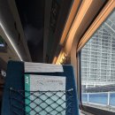 남천1-223 | 부산 여행기 (2월 4일~6일)