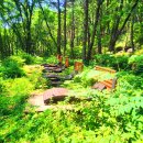 힐링 쉼터 이미지