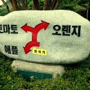 신안골프스쿨 이미지