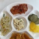 밥먹는하마 이미지