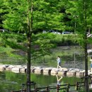 담양군청 | 여름 무더위 속 자연과 쉼이 어우러진 시간– 전남 담양에서 만나는 수백 년 숲길의 매력 ; 전남 담양...
