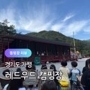 팡팡캠핑장 | 경기도 키즈캠핑장 추천 가평 레드우드 캠핑장 체험수업 당일캠크닉 후기