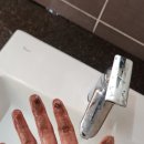 영일목장 이미지