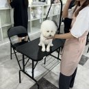 이바우펫미사