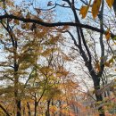 제일산악회 11월네째주 정기산행 이미지