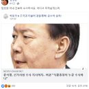 “대구는 독립해서 일본으로 가시는 게 어떨지” 이미지