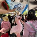 VIP 게임랜드 이미지