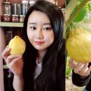 송의농장 네이버블로그