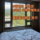 자매목장 | 숙소 추천 강원도 웰리힐리 리조트 숙소 2박 3일 숙박 주변 맛집, 아이가 좋아할만한 양떼목장 체험 후기