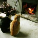 옹기종기 이미지