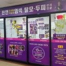 큐사랑 월곡점