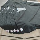 다윈태권도 이미지